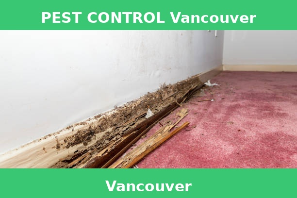 PEST CONTROL Vancouver